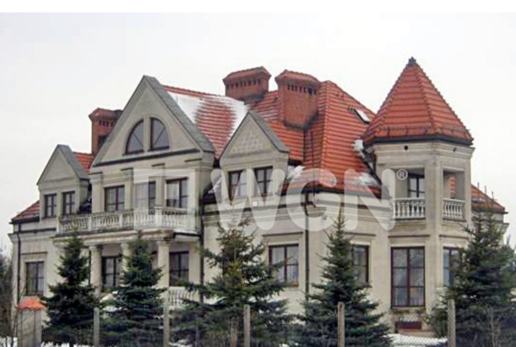widok od frontu na luksusową rezydencję w okolicy Łodzi na sprzedaż