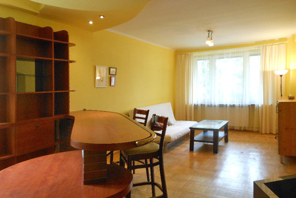 widok na salon luksusowego apartamentu do sprzedaży w Krakowie