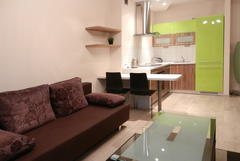 widok z salonu na aneks kuchenny w luksusowym apartamencie w Katowicach na wynajem
