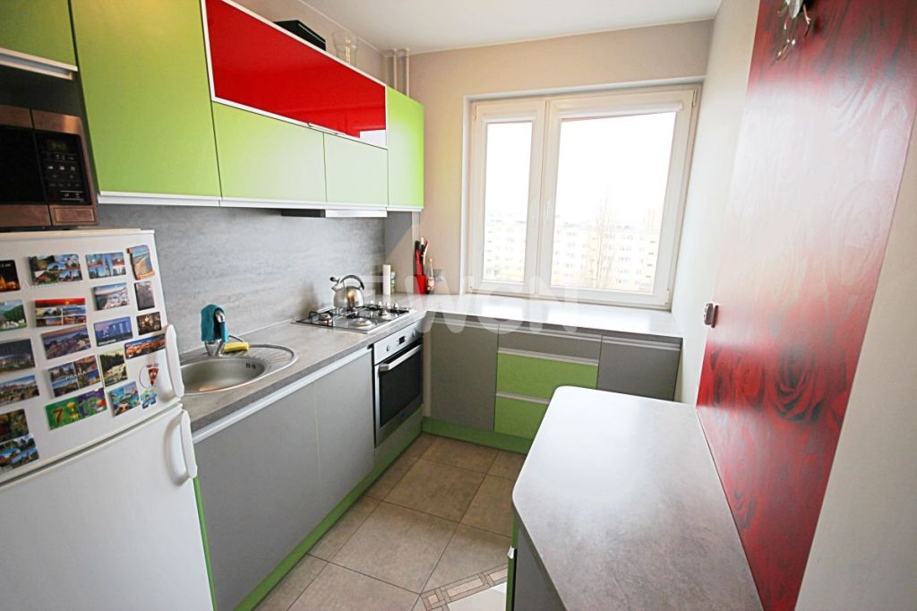 zabudowana kuchnia w luksusowym apartamencie w Szczecinie na wynajem