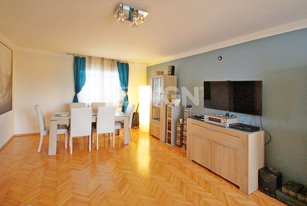 nowoczesny salon w ekskluzywnej willi do sprzedaży w Szczecinie