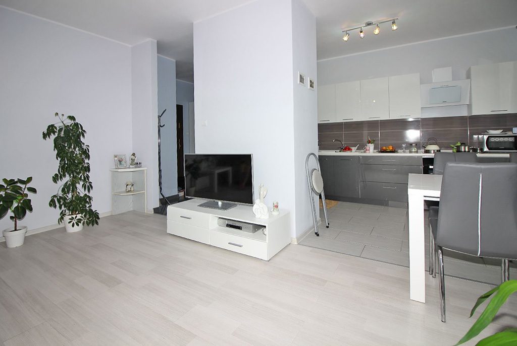 nowoczesny salon z kominkiem w ekskluzywnym apartamencie do sprzedaży w Łodzi