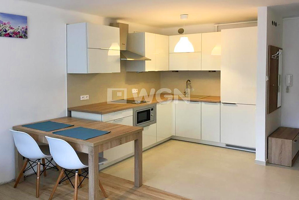 komfortowo urządzona i wyposażona kuchnia w luksusowym apartamencie w Katowicach na wynajem