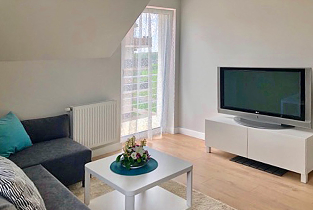 fragment komfortowego salonu w luksusowym apartamencie do wynajmu w okolicach Legnicy