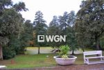 widok na pięknie zadbaną i wypielęgnowaną działkę wokół luksusowej willi do sprzedaży w Cieszynie