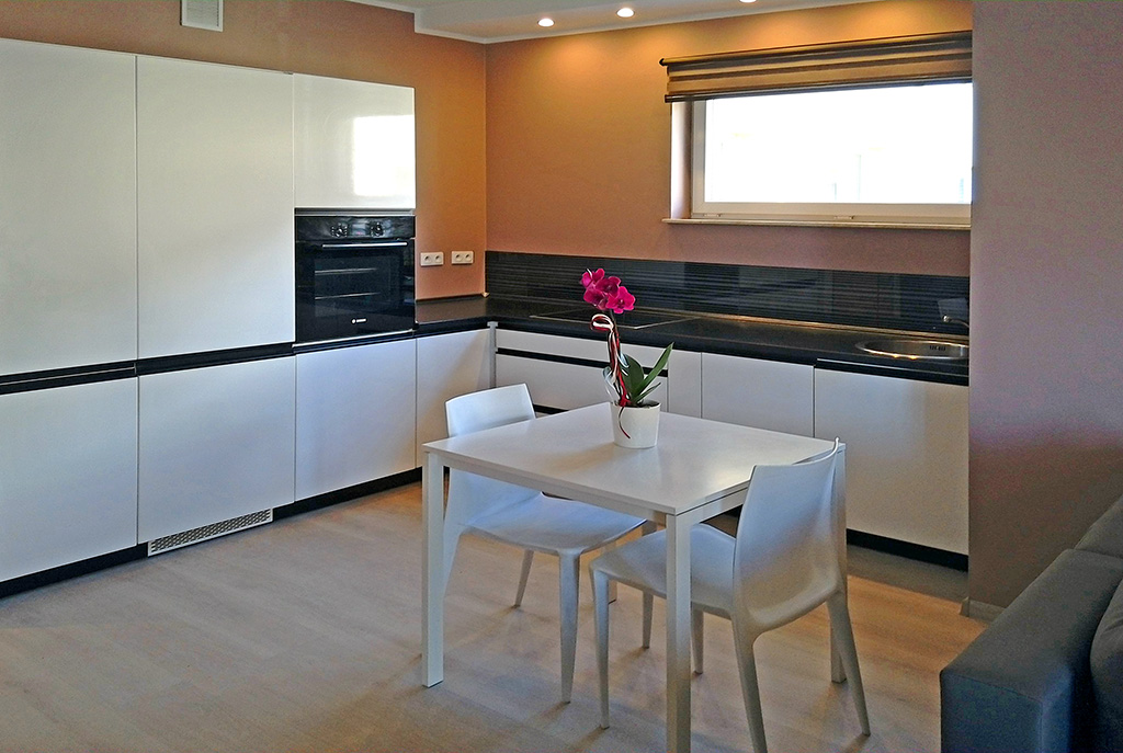aneks kuchenny / kuchnia w luksusowym apartamencie do wynajmu w Katowicach