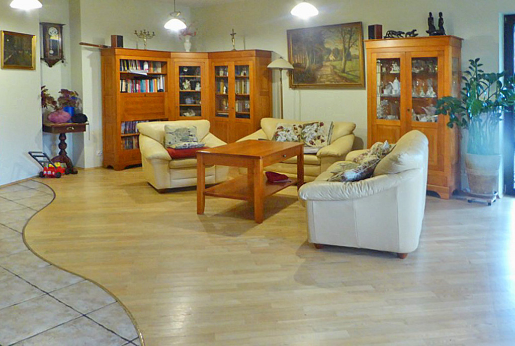 stylowy salon w luksusowej willi do sprzedaży w okolicach Łodzi