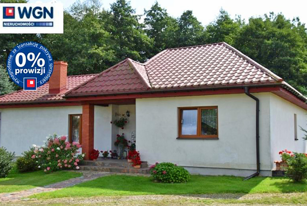 widok od frontu na luksusową willę do sprzedaży w okolicach Słupska