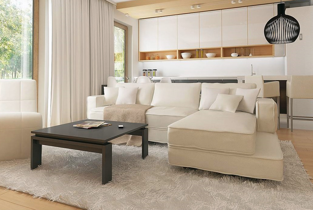 komfortowy i elegancki salon w willi do sprzedaży Białystok (okolice)