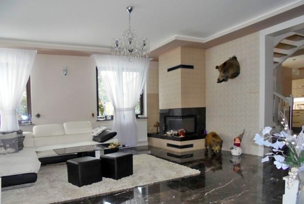 nowoczesny salon z kominkiem w ekskluzywnej willi do sprzedaży Grudziądz (okolice)