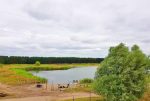 malownicza lokalizacja nad jeziorem luksusowej rezydencji do sprzedaży Gorzów Wielkopolski (okolice)