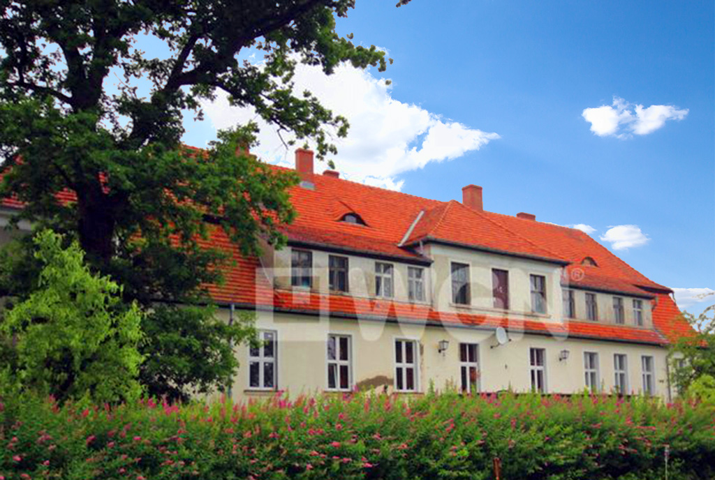widok z tyłu na luksusowy dwór do sprzedaży zachodniopomorskie
