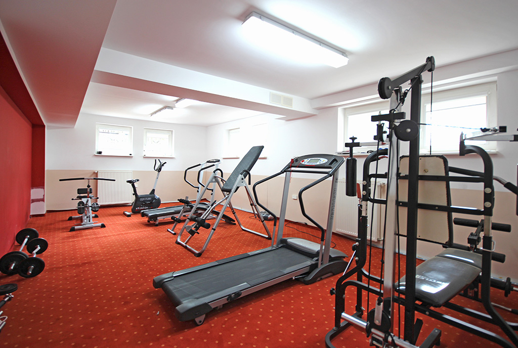 prywatna siłownia w ekskluzywnej willi na wynajem Szczecin (okolice)