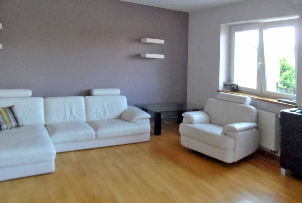 elegancki salon w ekskluzywnej willi do sprzedaży Piotrków Trybunalski