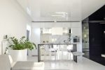 widok z salonu na luksusową kuchnię w ekskluzywnym apartamencie do sprzedaży Szczecin