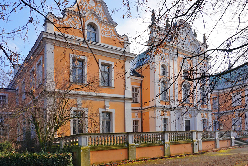 imponująca bryła ekskluzywnego pałacu do sprzedaży Poznań (okolice)