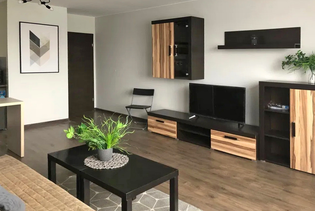 druga strona pokoju dziennego w ekskluzywnym apartamencie do wynajęcia Szczecin