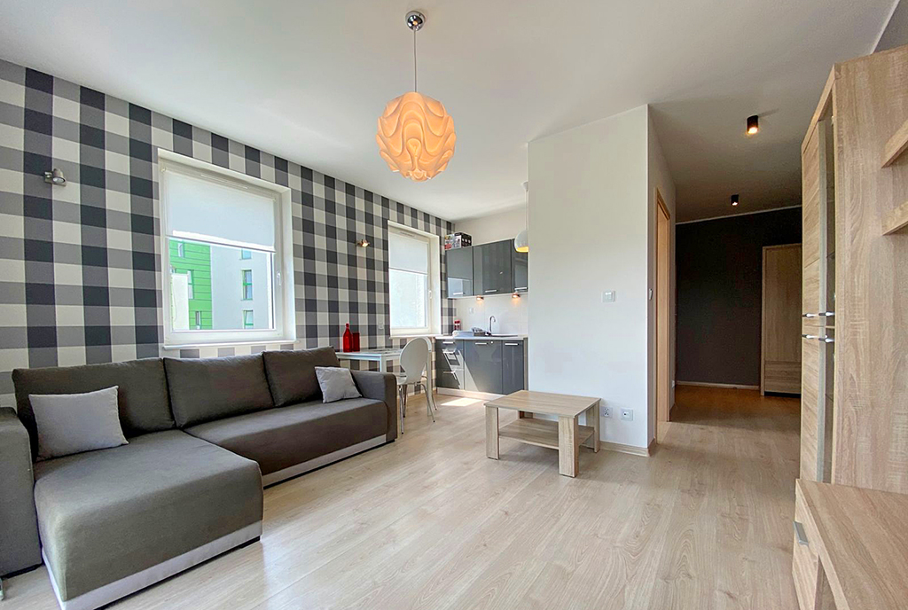 widok na salon w luksusowym apartamencie do wynajmu Szczecin