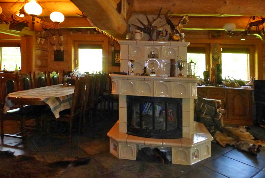 na pierwszym planie kominek w pokoju dziennym w luksusowym dworze do sprzedaży Częstochowa (okolice)