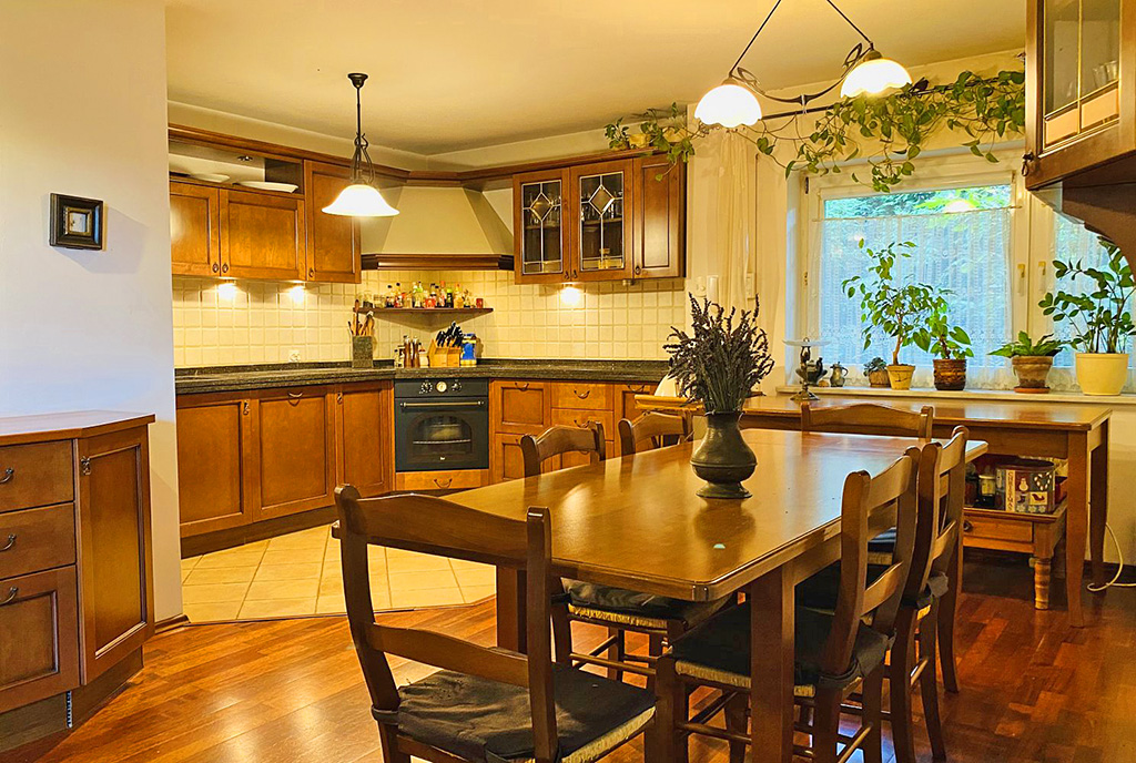 zabudowana kuchnia w luksusowej willi na sprzedaż okazała bryła luksusowej rezydencji na sprzedaż Katowice (okolice)