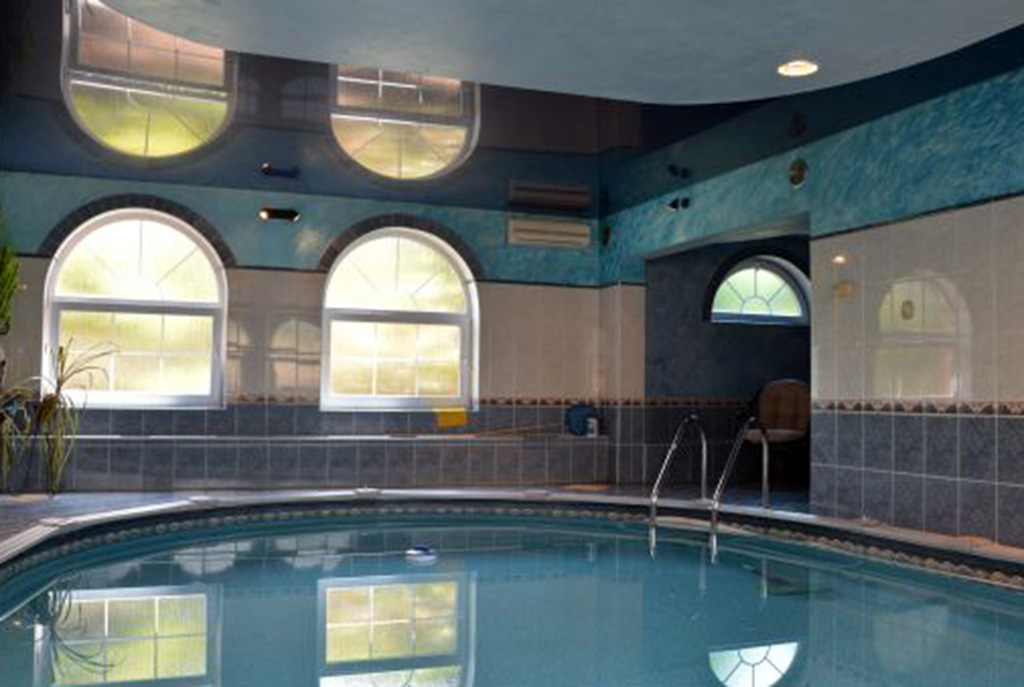 na pierwszym planie basen i luksusowa willa na sprzedaż Katowice (okolice)