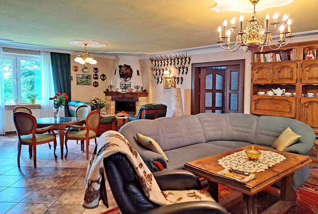 elegancki kominek w salonie luksusowej willi do sprzedaży Świdnica (okolice)