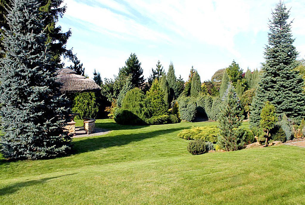 starannie zadbany ogród wokół ekskluzywnej willi do sprzedaży Starogard Gdański