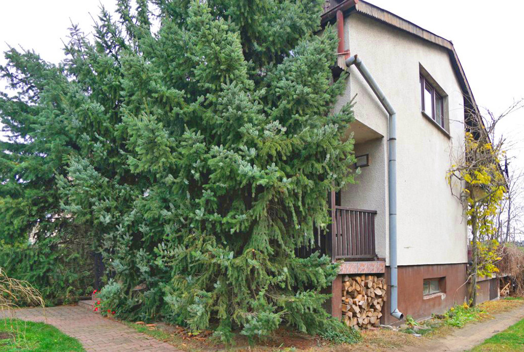 widok od strony ogrodu na luksusową willę do sprzedaży Konin (okolice)