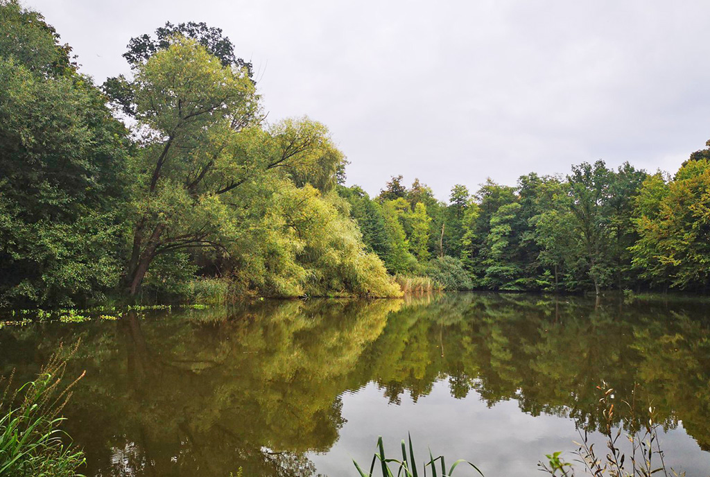 staw oraz park wchodzące w skład oferowanego na sprzedaż ekskluzywnego dworu Żagań (okolice)