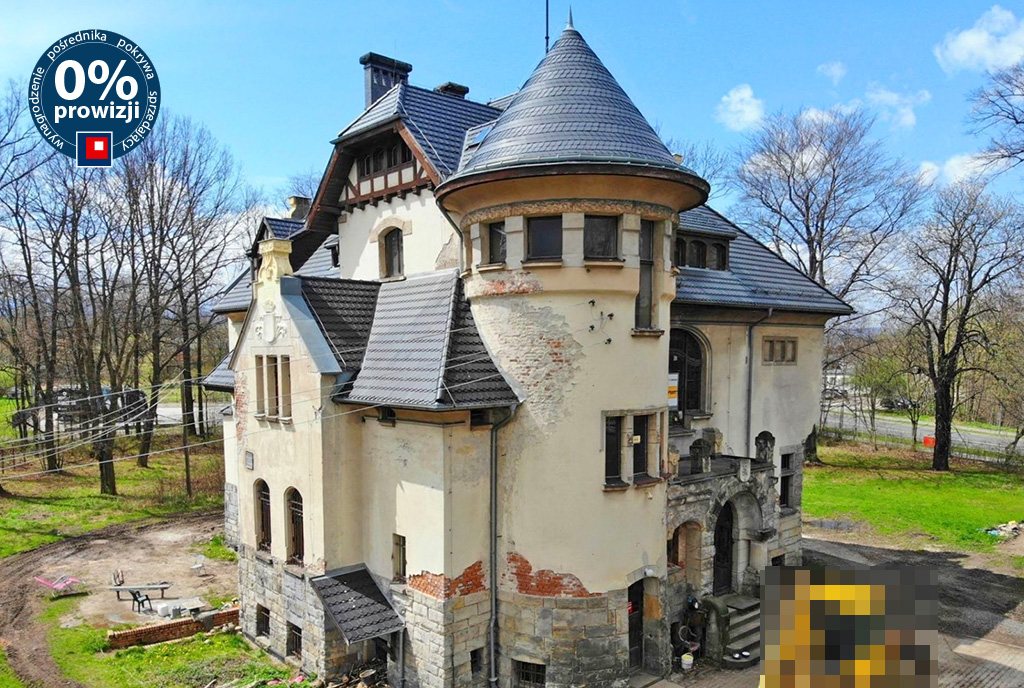 widok z tyłu na luksusowy pałac na sprzedaż Dolny Śląsk