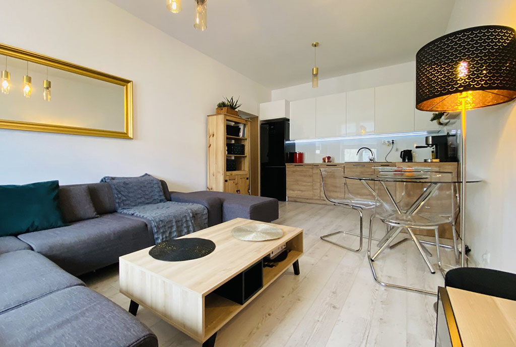 widok z salonu na aneks kuchenny w ekskluzywnym apartamencie na sprzedaż Katowice (okolice)
