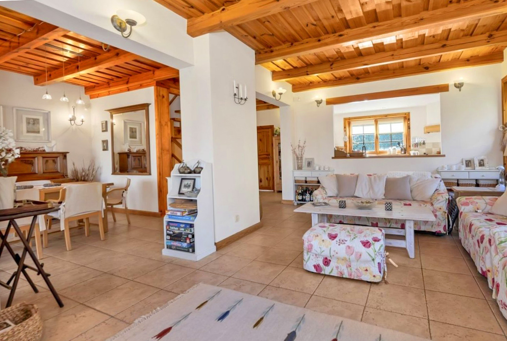 okazały pokój dzienny w luksusowej willi na sprzedaż Łódź (okolice)