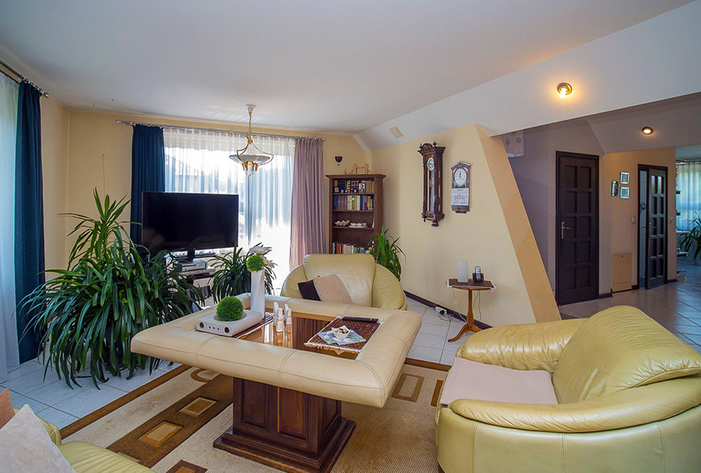 nowoczesny salon w luksusowej willi na sprzedaż Tarnów (okolice)