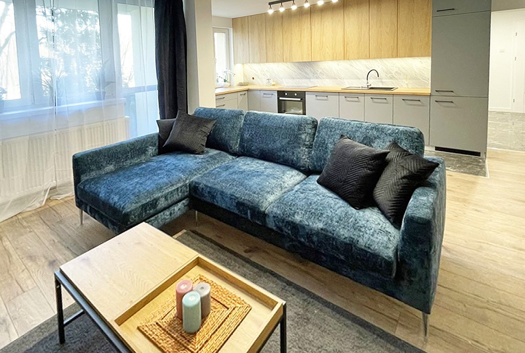 zbliżenie na pokój gościnny w ekskluzywnym apartamencie na sprzedaż Katowice (okolice)