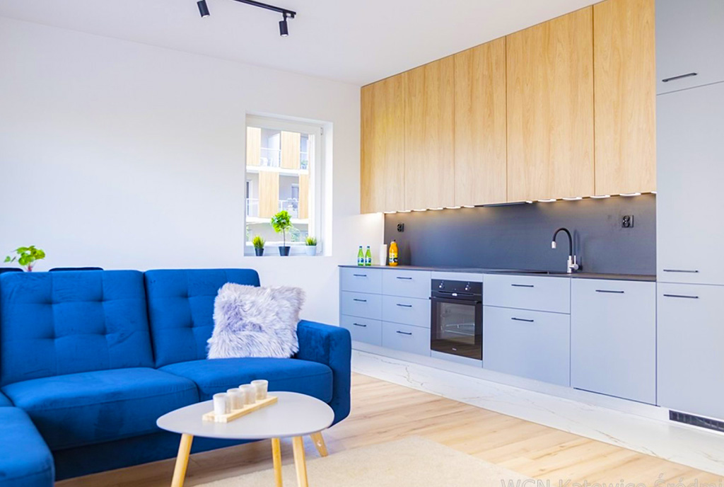 salon oraz aneks kuchenny w ekskluzywnym apartamencie na sprzedaż Katowice