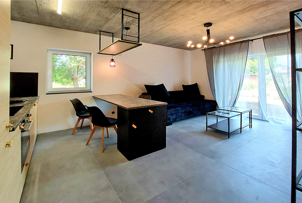 fragment salonu w luksusowym apartamencie do wynajmu Katowice (okolice)