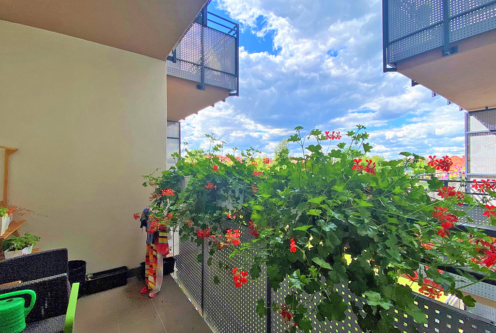 przepiękny, zielony balkon z kwiatami przy ekskluzywnym apartamencie do sprzedaży Wrocław