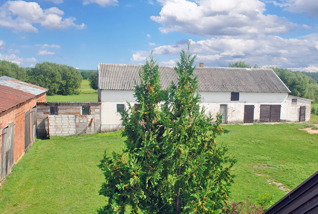 widok z okna na działkę wokół luksusowego dworu do sprzedaży Mazowsze