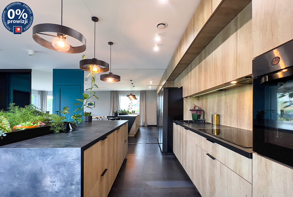 futurystyczny projekt kuchni w luksusowym apartamencie na sprzedaż Katowice (okolice)