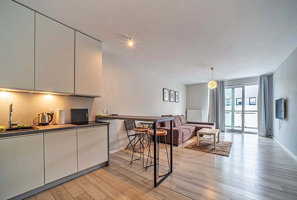 widok na salon w ekskluzywnym apartamencie do wynajęcia Bolesławiec