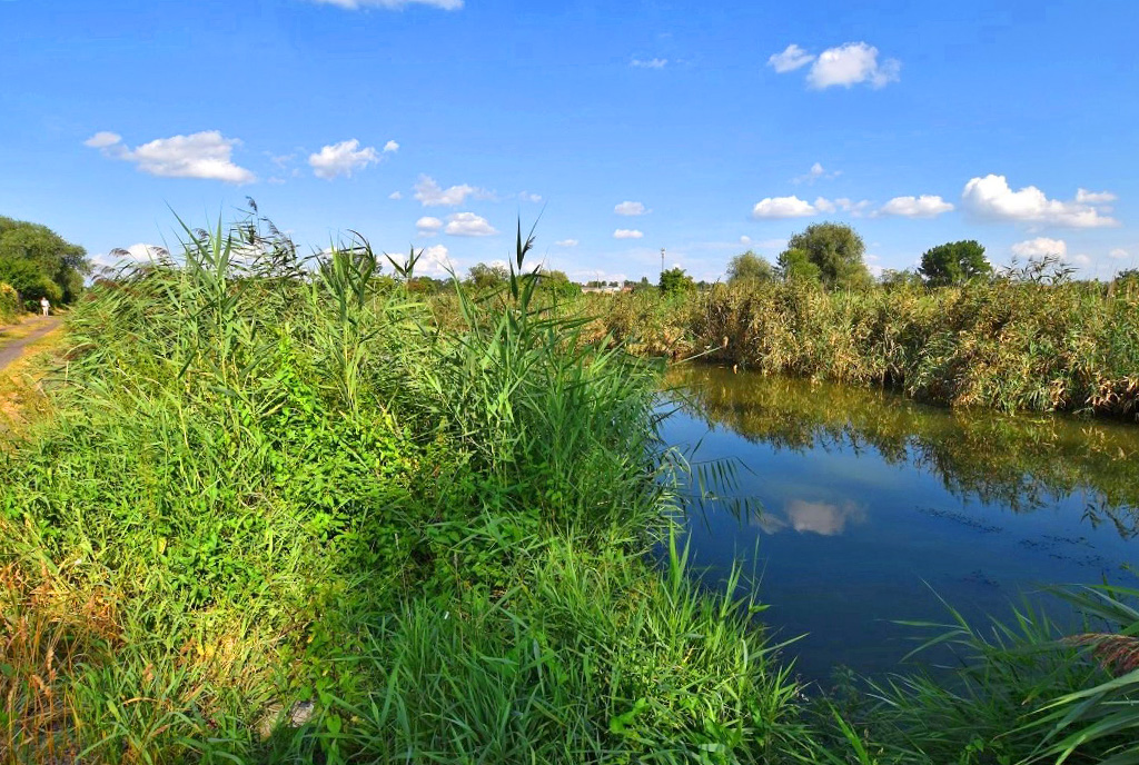 malownicza lokalizacja nad rzeką ekskluzywnej willi do sprzedaży Inowrocław (okolice)