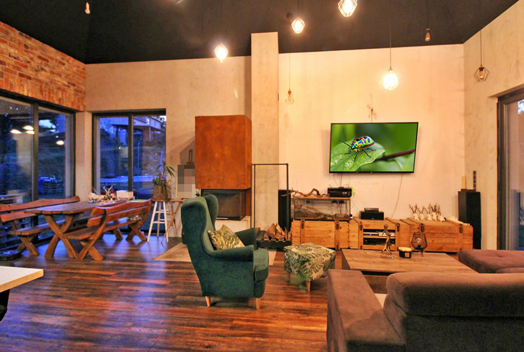 okazały salon w luksusowej willi na sprzedaż Frankfurt nad Odrą (okolice)