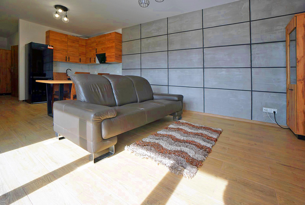 fragment pokoju dziennego w ekskluzywnym apartamencie na wynajem Piotrków Trybunalski