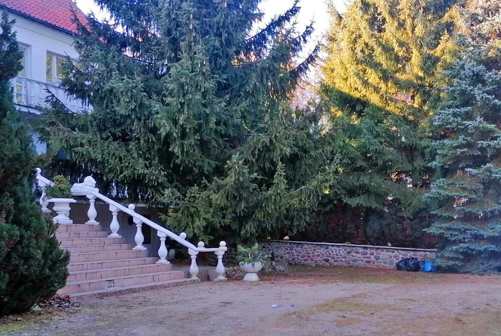 na zdjęciu zadbana działka, na której posadowiona jest luksusowa willa do sprzedaży Mazury