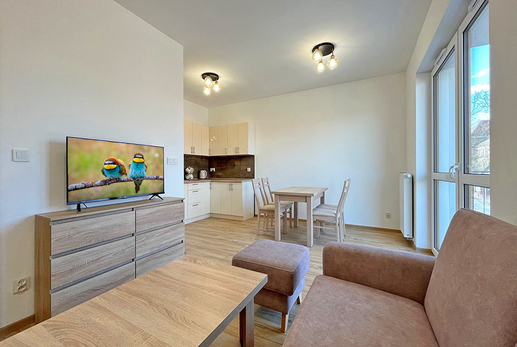 nowoczesny salon w ekskluzywnym apartamencie do wynajęcia Szczecin