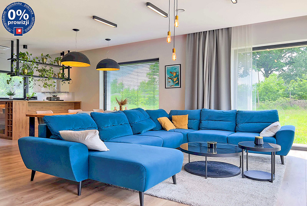 nowoczesny salon w luksusowej willi na sprzedaż Katowice (okolice)