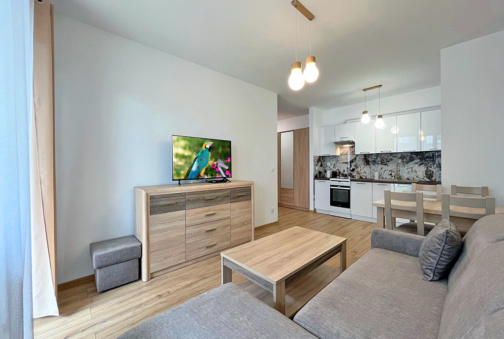 imponujący salon w ekskluzywnym apartamencie do wynajęcia Szczecin