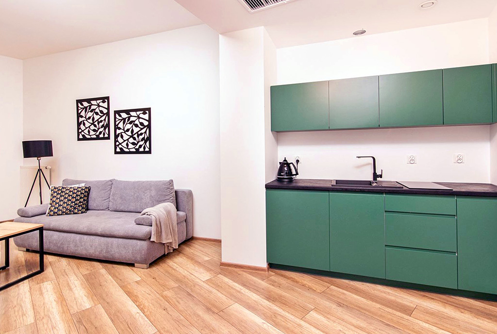 widok na kuchnię oraz pokój dzienny w luksusowym apartamencie do wynajęcia Szczecin