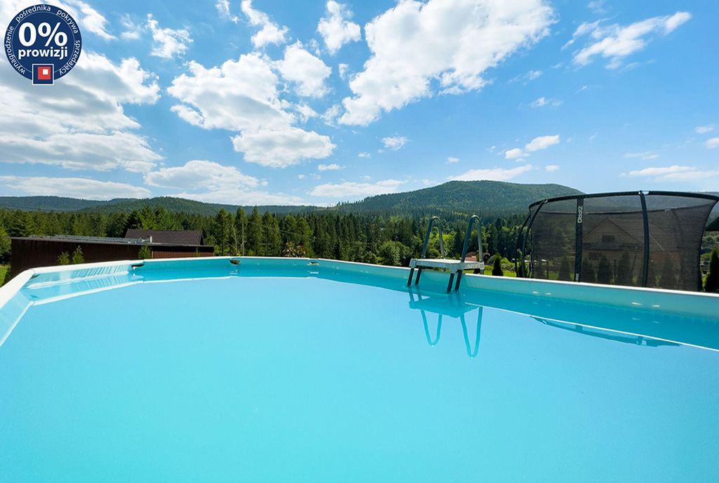 prywatny basen przy luksusowej willi na sprzedaż Bielsko-Biała (okolice)