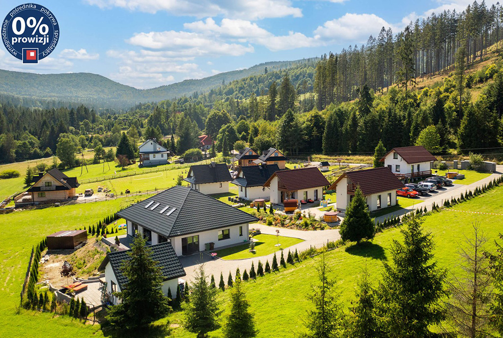 rzut z góry pokazujący otoczenie ekskluzywnej willi na sprzedaż Bielsko-Biała (okolice)